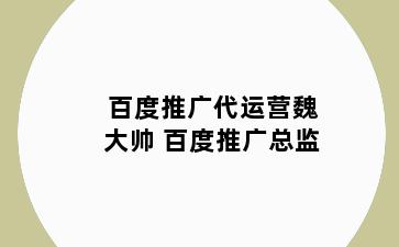 百度推广代运营魏大帅 百度推广总监